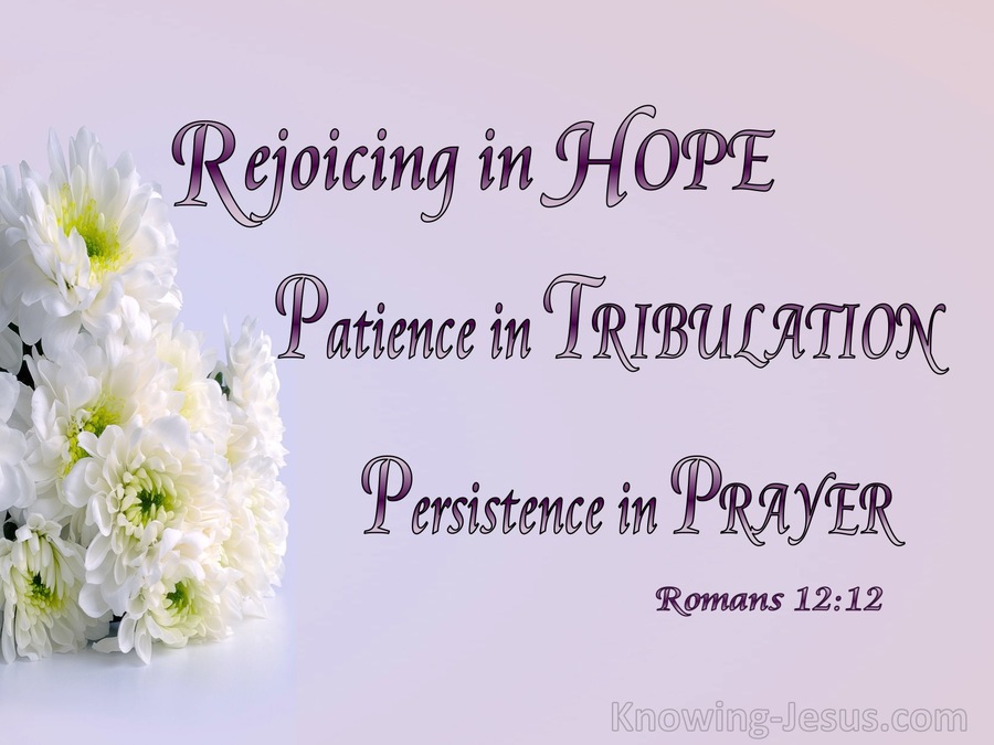 Romans 12:12 Rejoicing In Hope (pink)